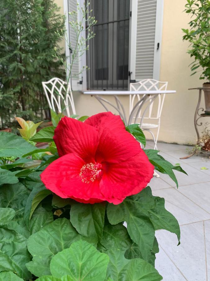 La Terrazza Vercelli Bed & Charme المظهر الخارجي الصورة